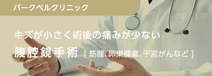 キズが小さく術後の痛みが少ない 腹腔鏡手術 ［筋腫、卵巣腫瘍、子宮ガン など］